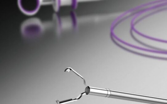 Disposable Endoscopic Hemoclip Rotatable for Gastroscope
