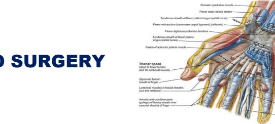 HAND SURGERY