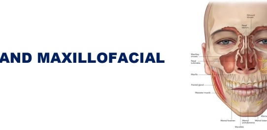 ORAL AND MAXILLOFACIAL